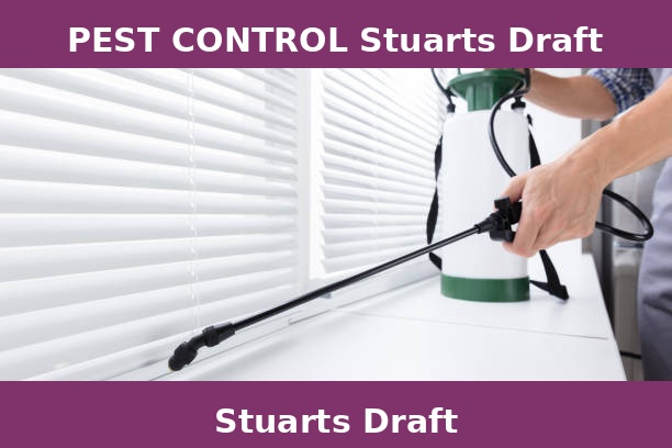 PEST CONTROL Stuarts Draft